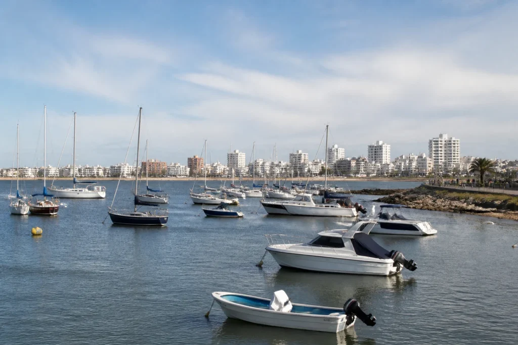 Moored boats at the Port of Punta del Este