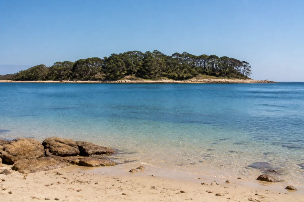 Beach and pine forest landscape on Isla Gorriti near Punta del Este