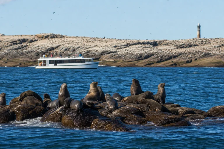 Wildlife-viewing boat near the rocky shore of Isla de Lobos off Punta del Este