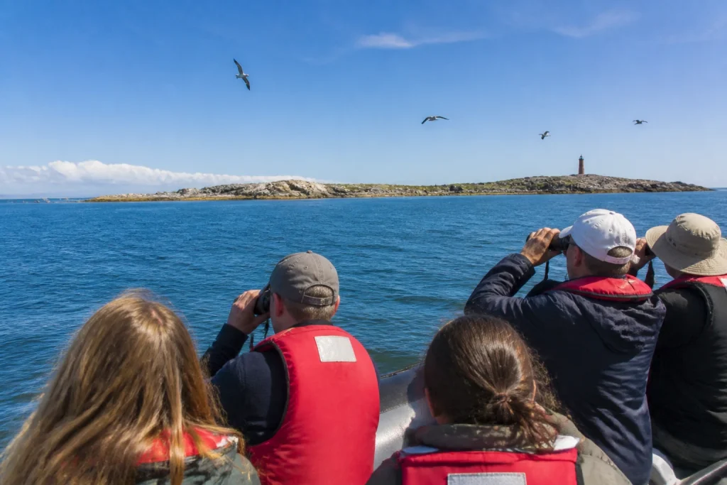 Birdwatchers on a pelagic boat trip around Isla de Lobos