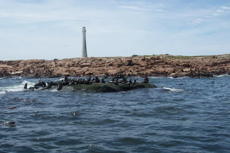 Isla de Lobos lighthouse and rocky wildlife habitat viewed from the water near Punta del Este