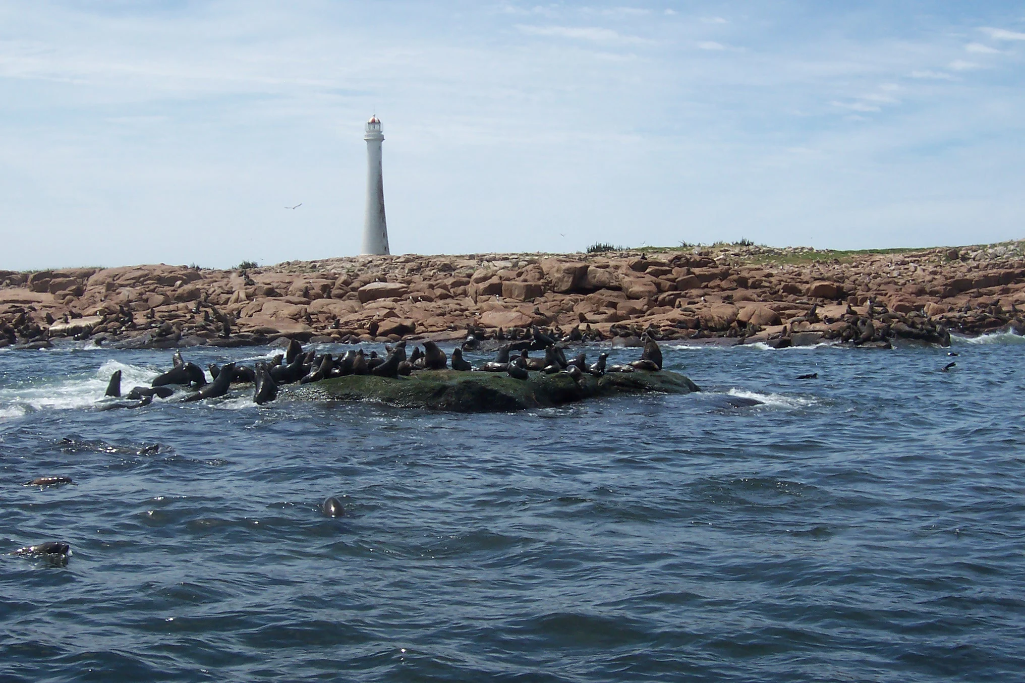 Isla de Lobos lighthouse and rocky wildlife habitat viewed from the water near Punta del Este