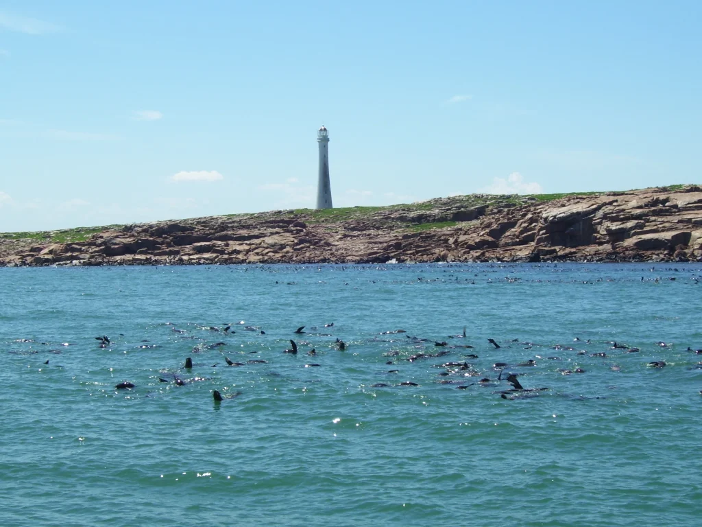 Faro de Isla de Lobos viewed from a boat offshore