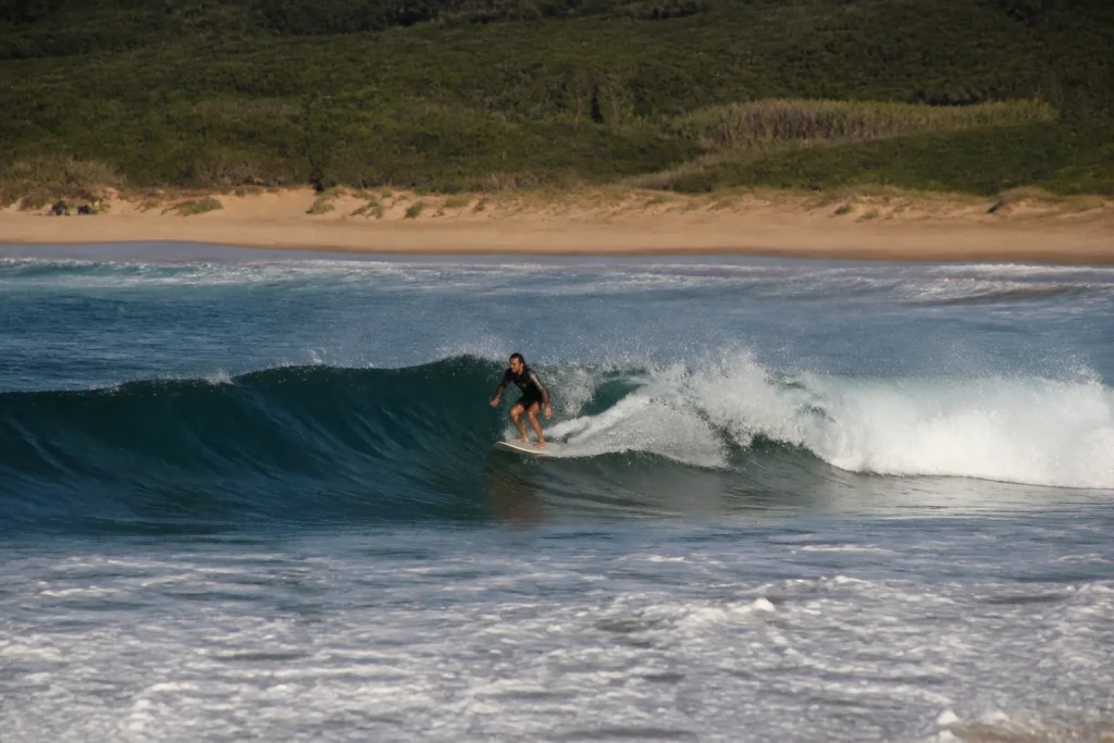 Surfer in the Atlantic water off La Barra, Uruguay