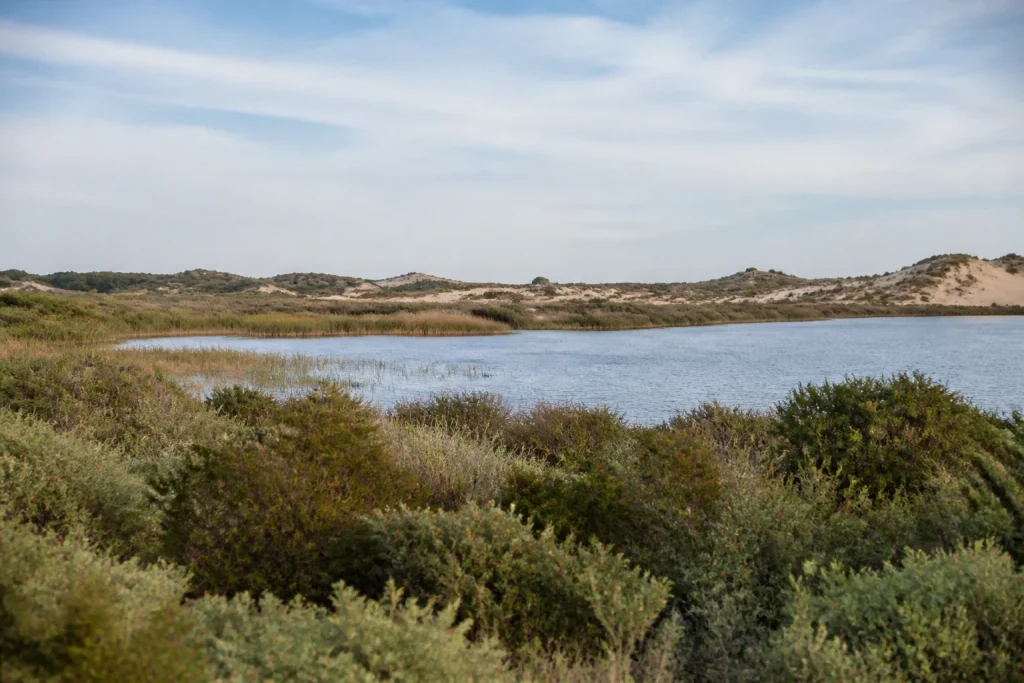 Wetlands, dunes and lagoon water at the Laguna Garzón protected area.