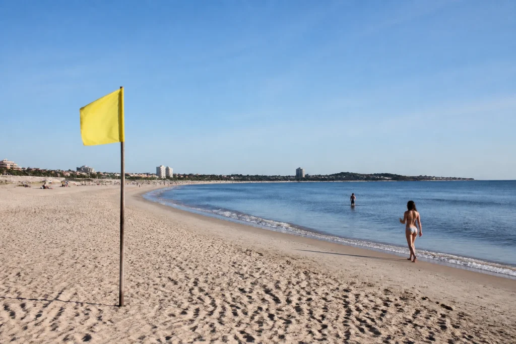 Beach safety flag beside the shoreline at Playa Mansa