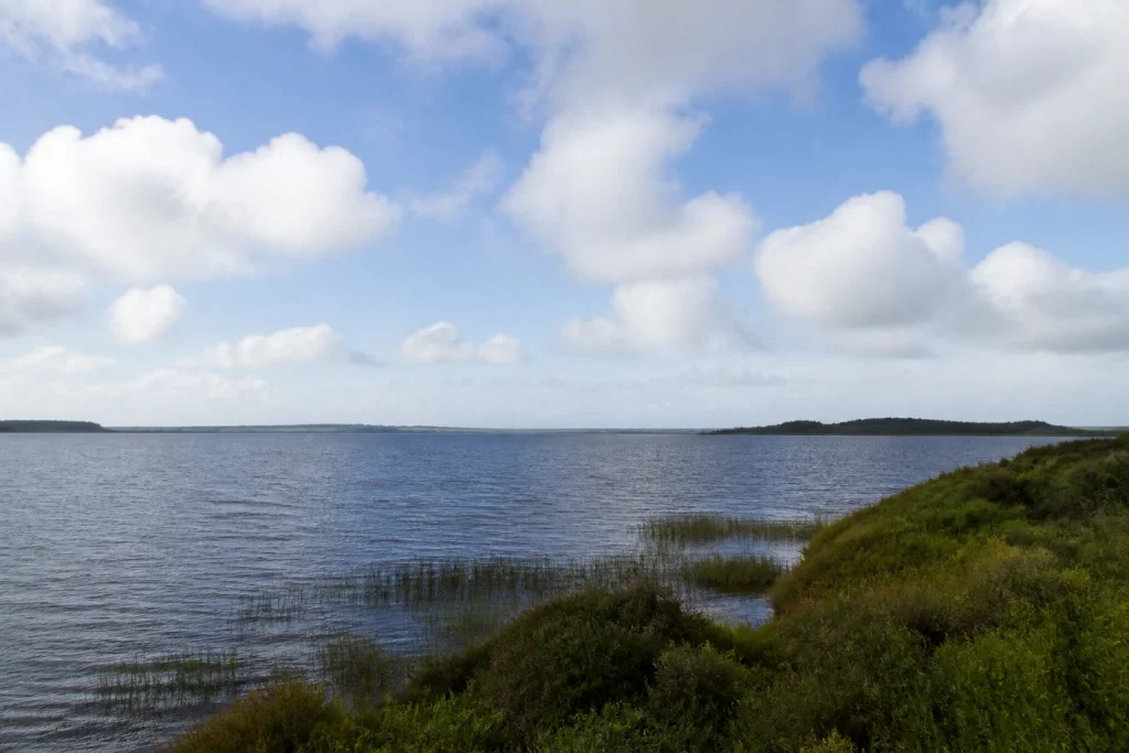 Laguna del Sauce landscape near Punta del Este Airport