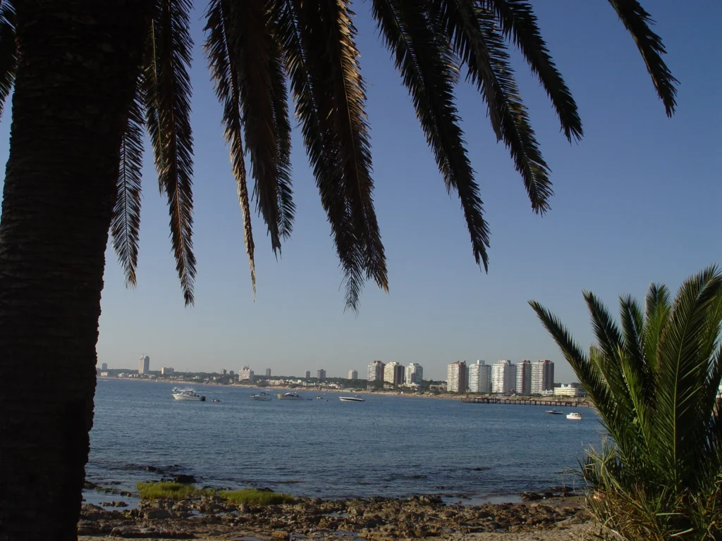 Playa Mansa beach in Punta del Este