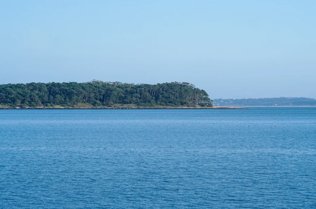 Offshore view of Isla Gorriti near Punta del Este.