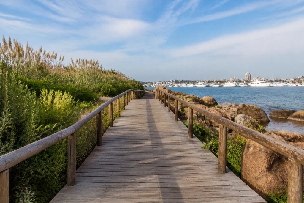 Wooden pedestrian walkway at Puerto de Punta del Este