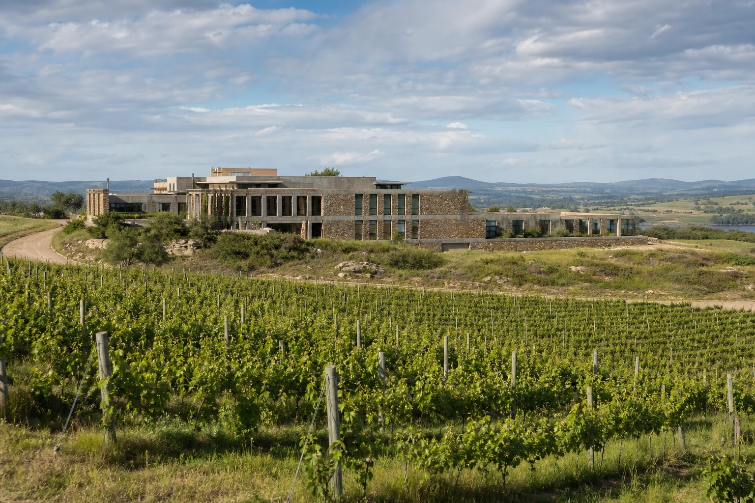 Vineyards at Bodega Garzón near Punta del Este