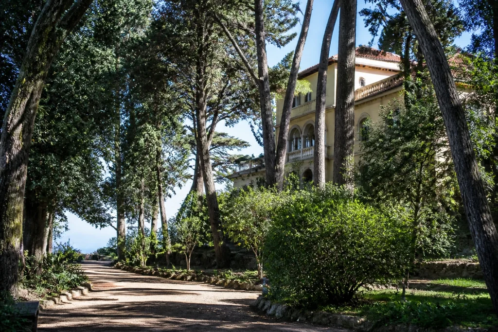 Wooded path at Museo-Arboretum Lussich near Punta Ballena