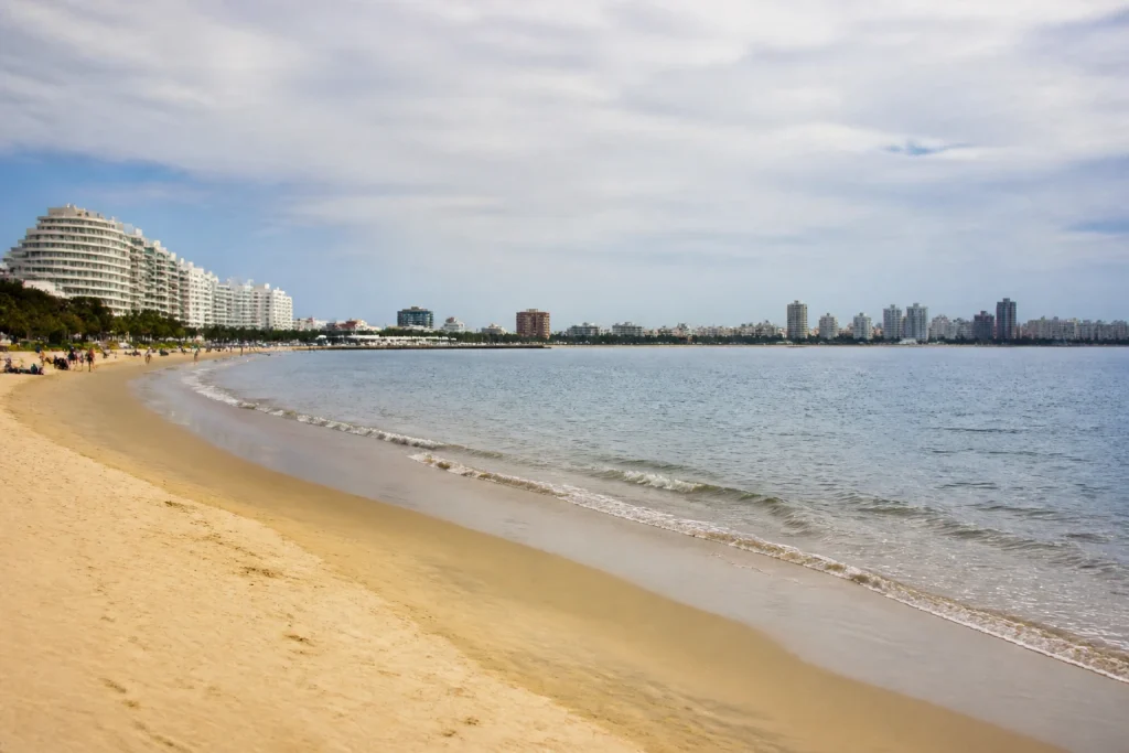 Playa Mansa shoreline and calm-looking water in Punta del Este